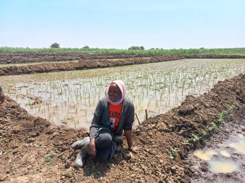 Smallholder Farmers at Namtari